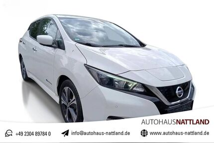 Nissan Leaf Gebrauchtwagen