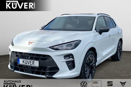Cupra Terramar Gebrauchtwagen