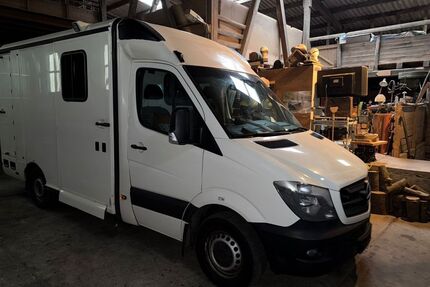 Mercedes-Benz Sprinter Gebrauchtwagen