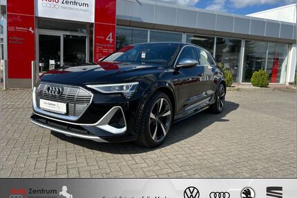 Audi e-tron Gebrauchtwagen