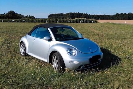 VW Beetle Gebrauchtwagen