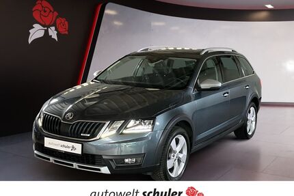 Skoda Octavia Gebrauchtwagen