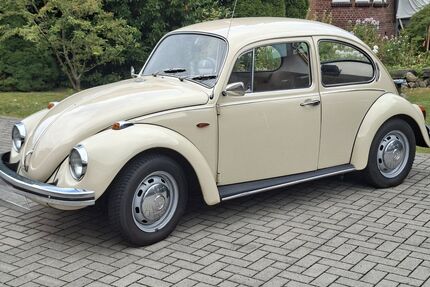VW Käfer Gebrauchtwagen