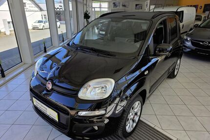 Fiat Panda Gebrauchtwagen