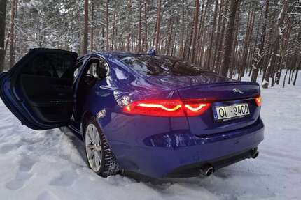 Jaguar XF Gebrauchtwagen