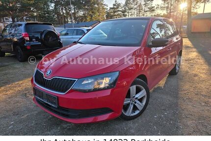 Skoda Fabia Gebrauchtwagen