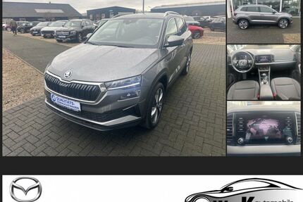 Skoda Karoq Gebrauchtwagen