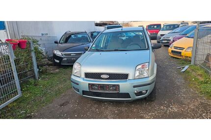 Ford Fusion Gebrauchtwagen