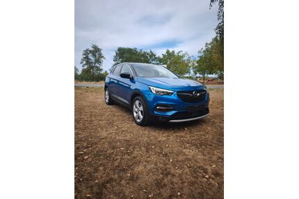 Opel Grandland (X) Gebrauchtwagen