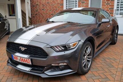 Ford Mustang Gebrauchtwagen