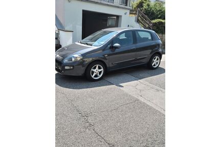 Fiat Punto Gebrauchtwagen
