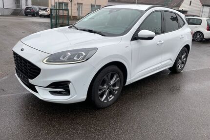 Ford Kuga Gebrauchtwagen