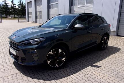 Cupra Terramar Gebrauchtwagen