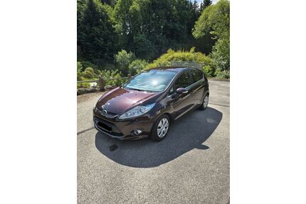 Ford Fiesta Gebrauchtwagen