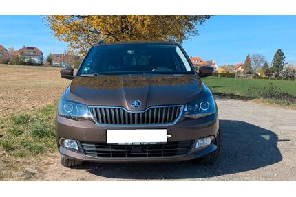 Skoda Fabia Gebrauchtwagen