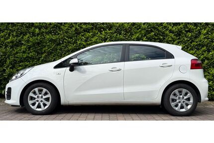 Kia Rio Gebrauchtwagen