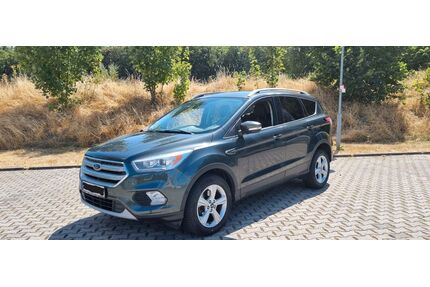 Ford Kuga Gebrauchtwagen
