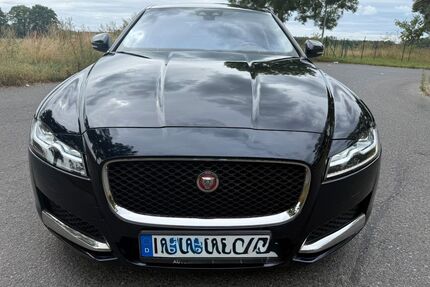Jaguar XF Gebrauchtwagen