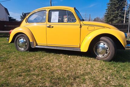 VW Beetle Gebrauchtwagen