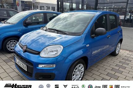 Fiat Panda Gebrauchtwagen
