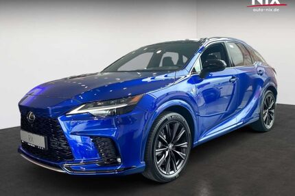 GWM RX 500 