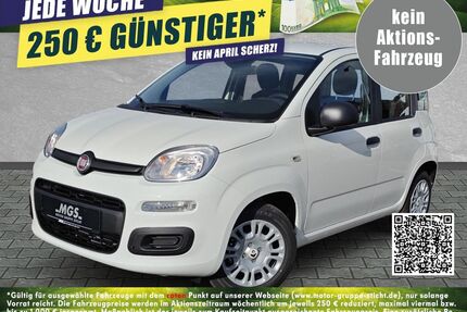 Fiat Panda Gebrauchtwagen