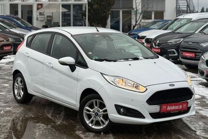 Ford Fiesta Gebrauchtwagen