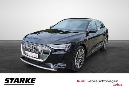 Audi e-tron Gebrauchtwagen