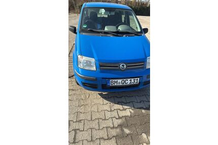 Fiat Panda Gebrauchtwagen