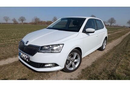 Skoda Fabia Gebrauchtwagen