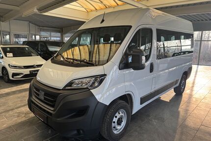 Fiat Ducato Gebrauchtwagen