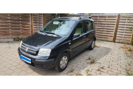 Fiat Panda Gebrauchtwagen