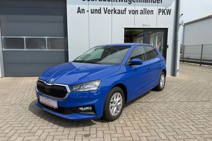Skoda Fabia Gebrauchtwagen