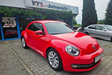 VW Beetle Gebrauchtwagen