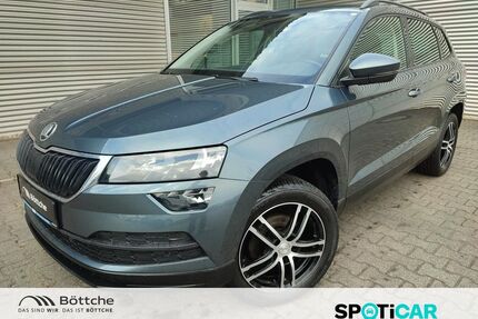 Skoda Karoq Gebrauchtwagen
