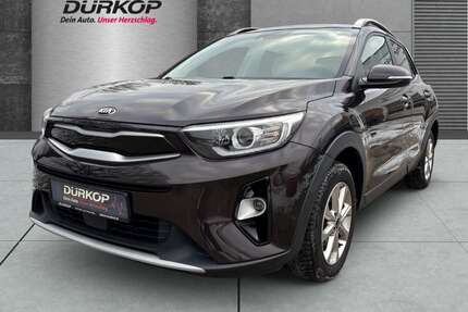 Kia Stonic Gebrauchtwagen
