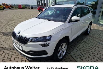 Skoda Karoq Gebrauchtwagen
