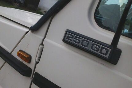Mercedes-Benz G 250 Gebrauchtwagen