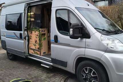Fiat Ducato Gebrauchtwagen