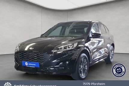Ford Kuga Gebrauchtwagen