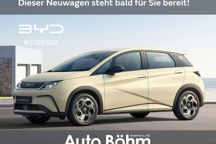 BYD DOLPHIN Gebrauchtwagen