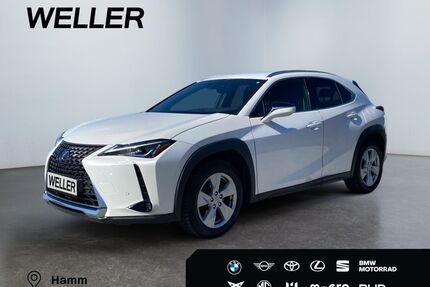 Lexus UX Gebrauchtwagen