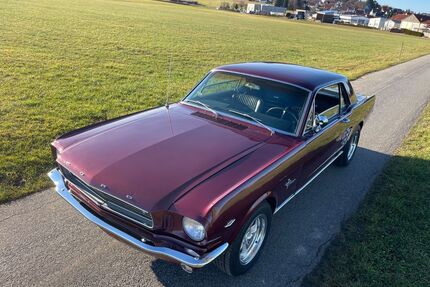 Ford Mustang Gebrauchtwagen
