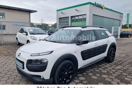 Citroen C4 Cactus Gebrauchtwagen
