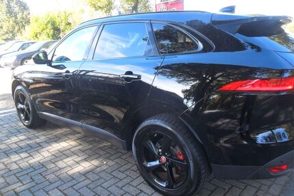 Jaguar F-Pace Gebrauchtwagen