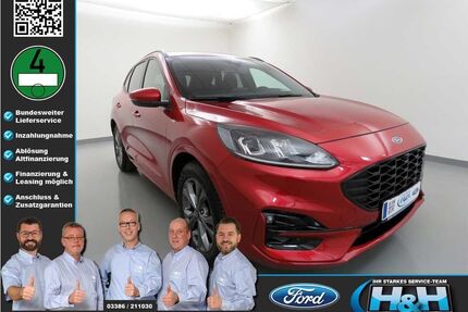 Ford Kuga Gebrauchtwagen