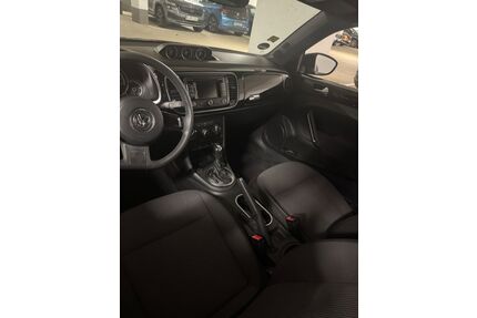 VW Käfer Gebrauchtwagen