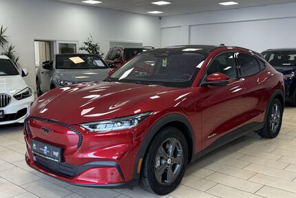 Ford Andere Gebrauchtwagen