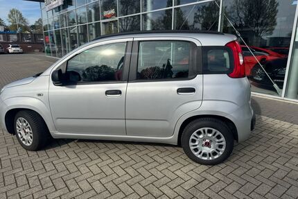 Fiat Panda Gebrauchtwagen