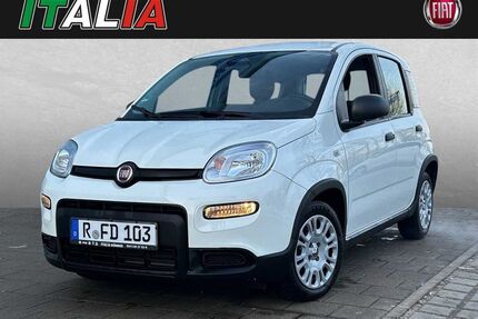 Fiat Panda Gebrauchtwagen